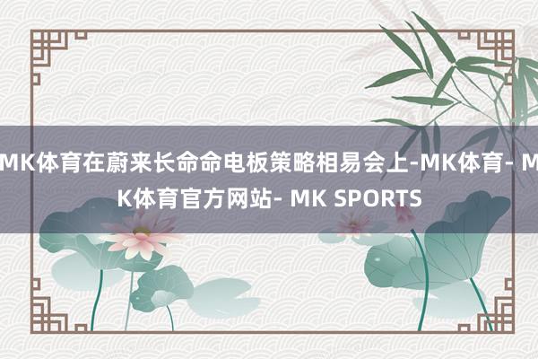 MK体育在蔚来长命命电板策略相易会上-MK体育- MK体育官方网站- MK SPORTS