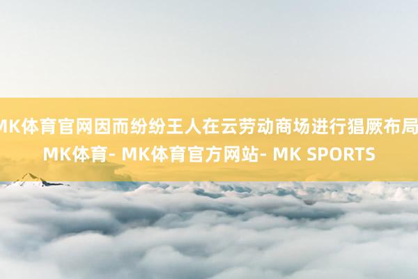 MK体育官网因而纷纷王人在云劳动商场进行猖厥布局-MK体育- MK体育官方网站- MK SPORTS