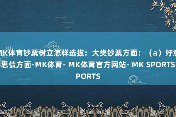 MK体育钞票树立怎样选拔：大类钞票方面：（a）好意思债方面-MK体育- MK体育官方网站- MK SPORTS