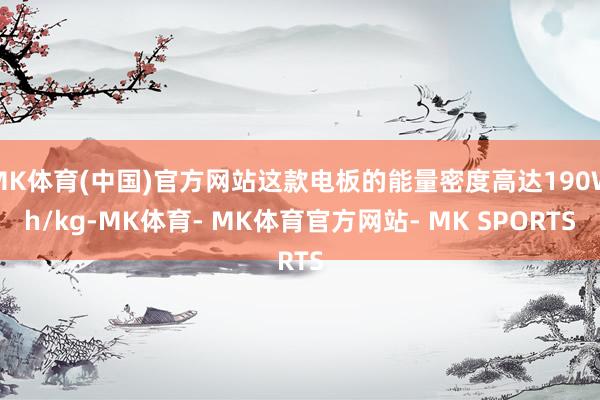 MK体育(中国)官方网站这款电板的能量密度高达190Wh/kg-MK体育- MK体育官方网站- MK SPORTS