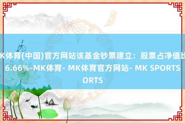 MK体育(中国)官方网站该基金钞票建立：股票占净值比96.66%-MK体育- MK体育官方网站- MK SPORTS