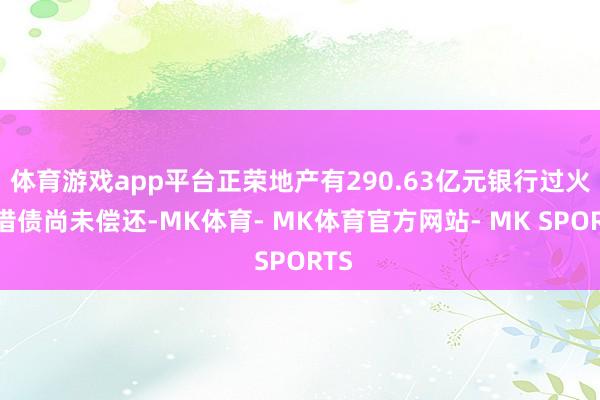 体育游戏app平台正荣地产有290.63亿元银行过火他借债尚未偿还-MK体育- MK体育官方网站- MK SPORTS