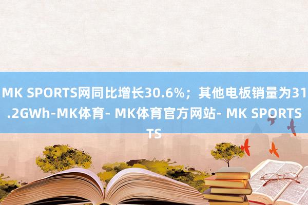 MK SPORTS网同比增长30.6%；其他电板销量为31.2GWh-MK体育- MK体育官方网站- MK SPORTS